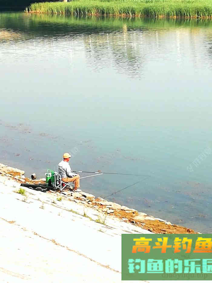 鲫鱼难钓的关键点和关联点,盛夏钓鲫浅探 鲫鱼难钓的关键点和关联点,盛夏钓鲫浅探