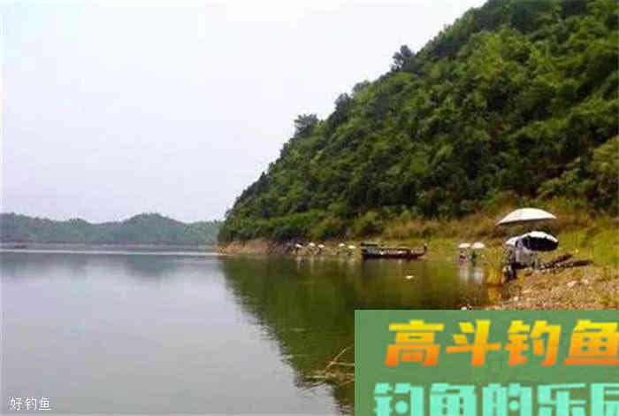 老钓友分享如何用草来钓大草鱼