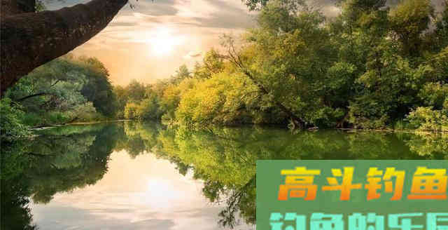 夏季钓黑鱼，分析黑鱼的生活习性选择合适钓法