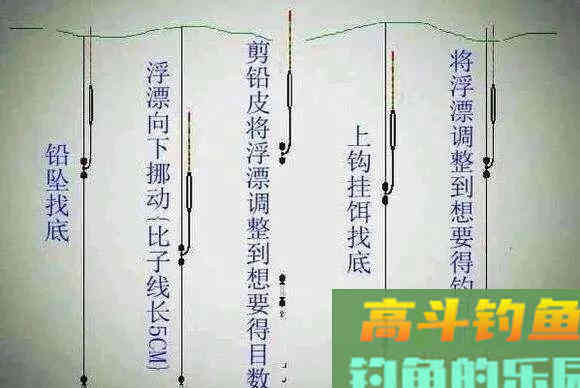 钓青鱼使用玉米饵料垂钓，我们应该如何调钓