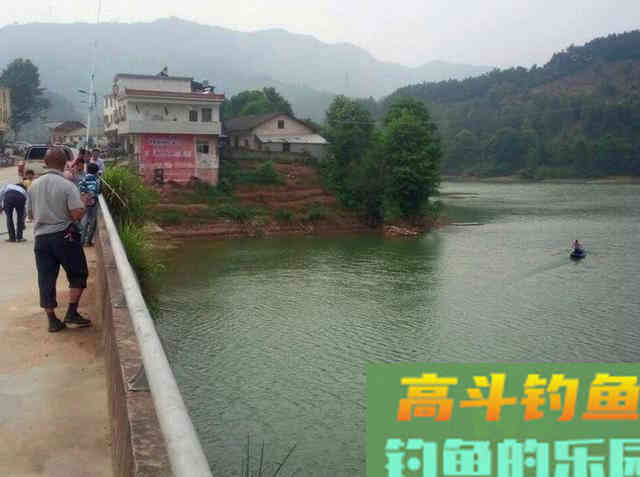 介绍一种万峰湖当地人钓翘嘴鱼的独特方法 介绍一种万峰湖当地人钓翘嘴鱼的独特方法