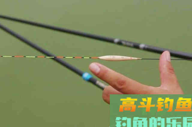 草鱼这个钓法最近火了，简单易上手，新手一学就会