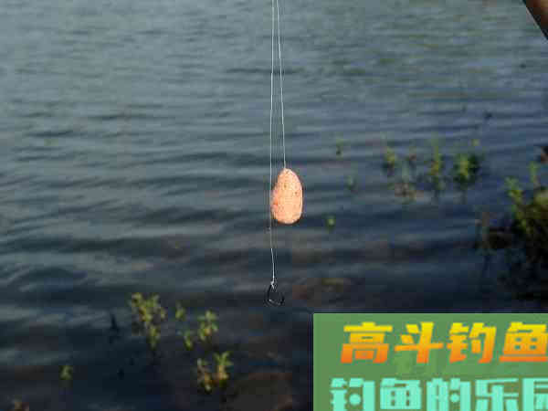 两种鲢鳙的简单钓法,和钓鲢鳙的饵料配方 两种鲢鳙的简单钓法,和钓鲢鳙的饵料配方