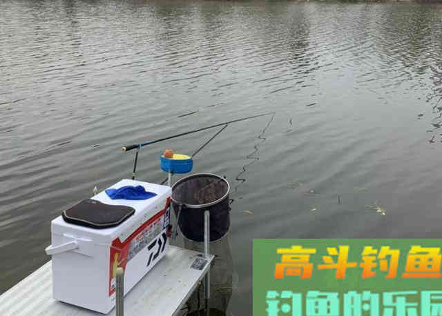 天气变冷,大板鲫都藏这三个不起眼的小地方 天气变冷,大板鲫都藏这三个不起眼的小地方