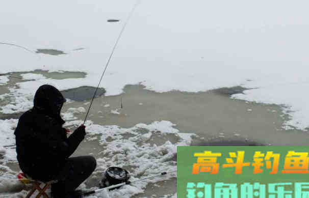 冬末春初好钓鲫鱼，来看看钓鱼技巧