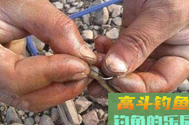 天热后,对付黑鱼我只用这三步 天热后,对付黑鱼我只用这三步