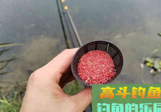 酒米打窝能诱鲤鱼吗？喜欢钓鲤鱼的注意
