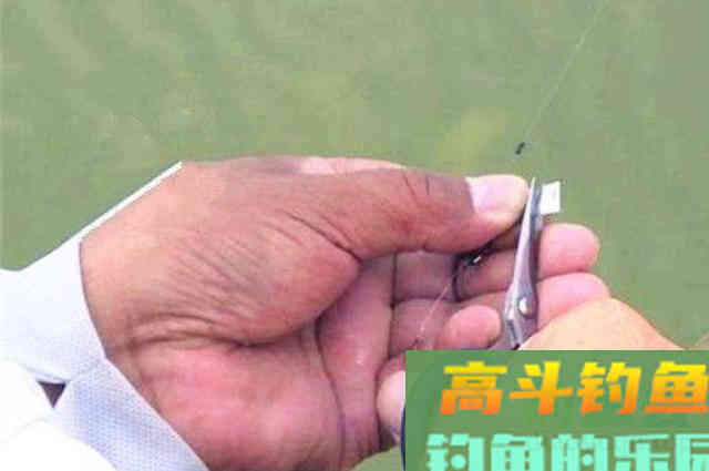 过去二十年了,谁料这套鲤鱼钓法,依然霸气十足 过去二十年了,谁料这套鲤鱼钓法,依然霸气十足