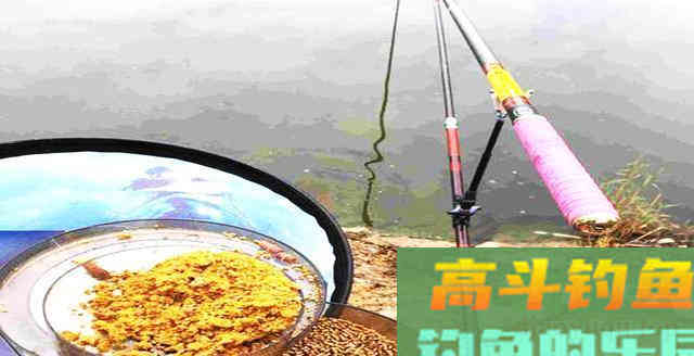 钓鲤鱼记住这几点,钓鱼不再难,爱钓鱼的别错过 钓鲤鱼记住这几点,钓鱼不再难,爱钓鱼的别错过