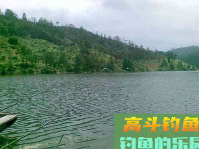 从3个方面掌握手竿钓鲢鳙的技巧，以后越钓越多