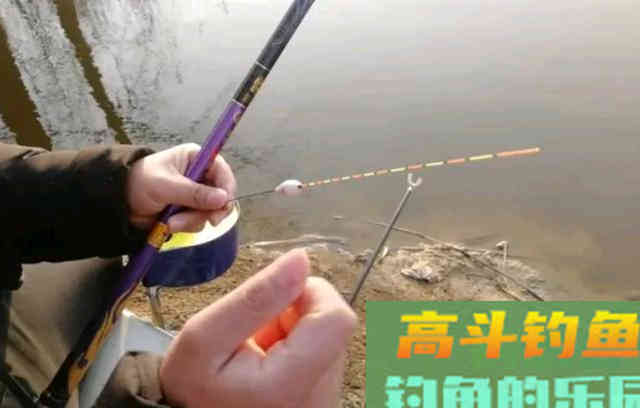 为啥你每次钓大板鲫都不过瘾