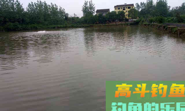 鸭嘴鱼的介绍，与鸭嘴鱼的垂钓方法技巧