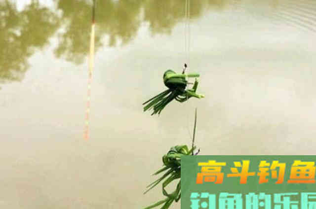 早该透露，秋钓征服草鱼，这5种天然饵必不可少