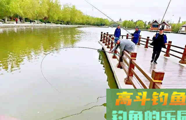 邓刚钓鲢鳙居然败了？这一做法是溃败的关键