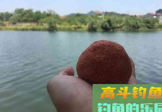 一进入夏季，鲫鱼就越钓越小，大板鲫呢