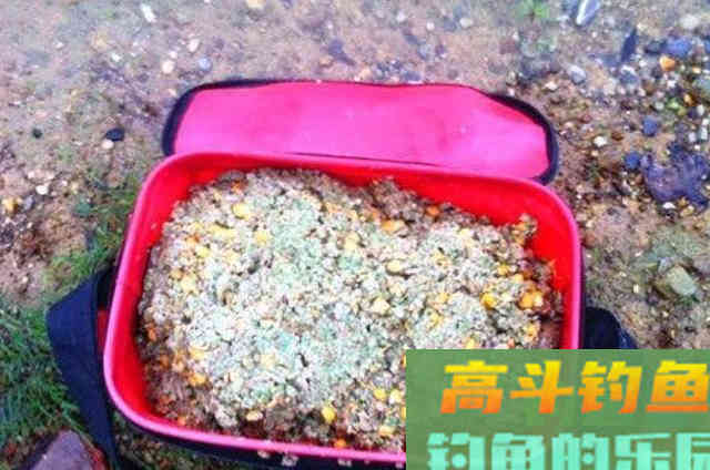 处暑前，鲤鱼只需按我说的钓，气温再高也能狂拔不断