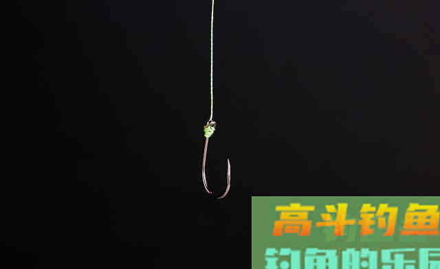 钓土鲮如何提高命中率及渔获？从选装备开始