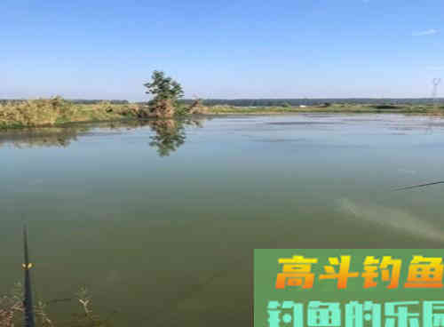 野生草鱼为什么夏季好钓,深秋却难钓?做好这3点即可 野生草鱼为什么夏季好钓,深秋却难钓?做好这3点即可
