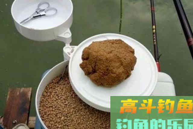 不打窝也能钓上鲤鱼，真是厉害了，从没试过这种钓法