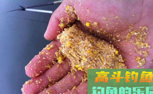 秋末冬初钓鲫鱼，为什么别人钓的多，自己钓少