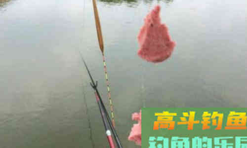 钓友问：初春温度升高，不打窝钓鲫鱼可以吗