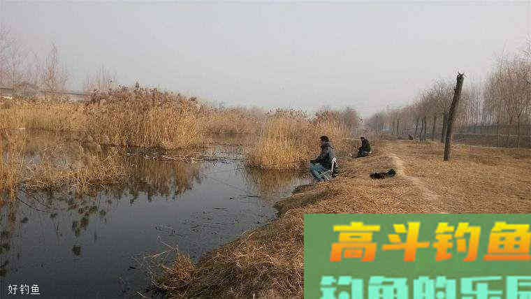 切记钓鲫鱼在这些情况下要调漂