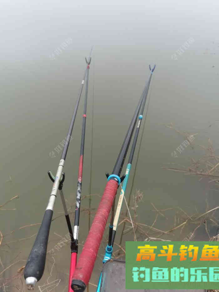 初春双竿钓鲫鱼的一点体会