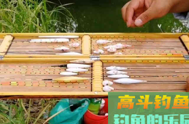 六月了板鲫狡猾又难钓,多亏二十年老司机指点 六月了板鲫狡猾又难钓,多亏二十年老司机指点