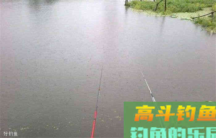 鲫鱼钓底还是钓浮？是需要根据现场环境来定的