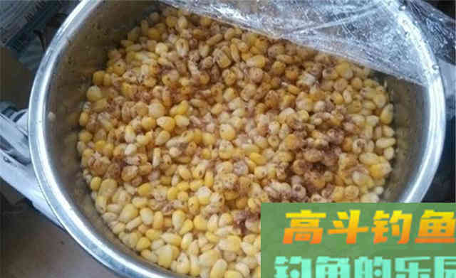 秋季钓鲤,选择不同类型的钓位,可以尝试不同的饵料 秋季钓鲤,选择不同类型的钓位,可以尝试不同的饵料