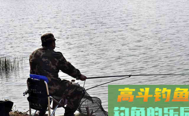 鲢鳙这么钓，老板见了都害怕