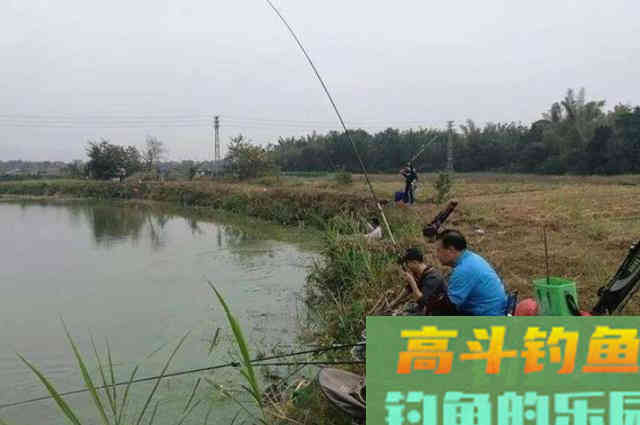 这千金不换的草鱼钓法，简单又实用