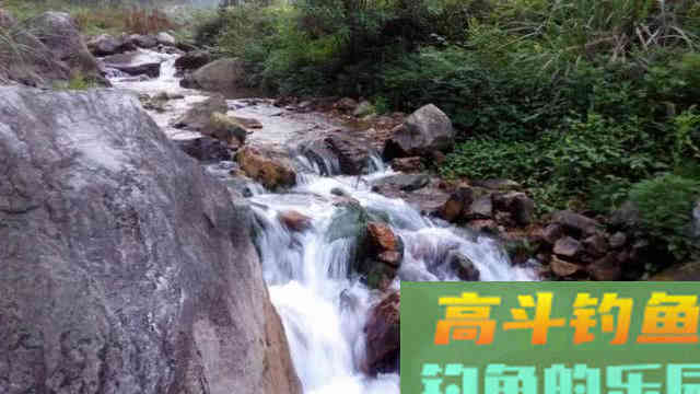 大西南的深山溪流里钓山鲶，这种极品鱼吃起来弹嘴