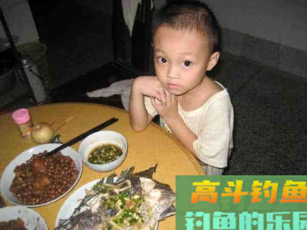 两广海南的钓鱼人,谈论钓罗非的技巧 两广海南的钓鱼人,谈论钓罗非的技巧