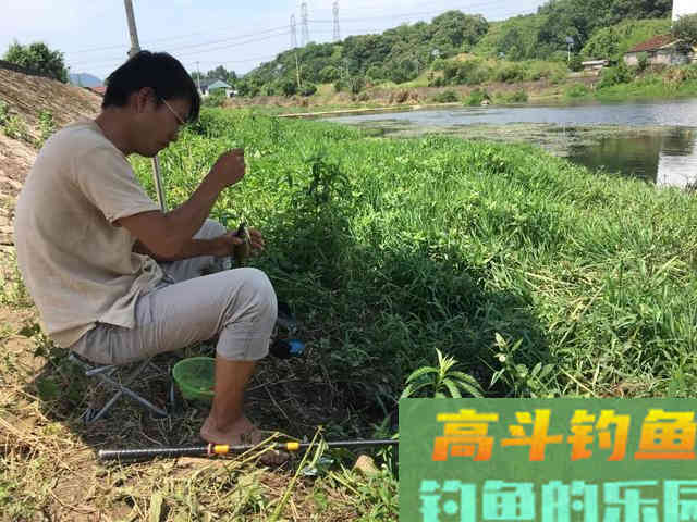 为什么野钓鲫鱼不建议浮钓?看完你就明白了 为什么野钓鲫鱼不建议浮钓?看完你就明白了