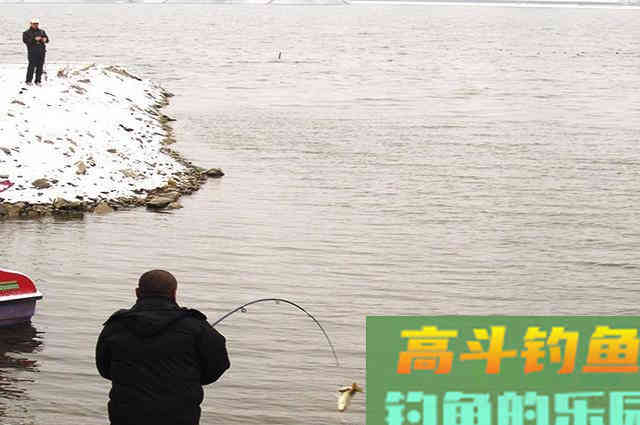 冬季降温后钓鲫鱼,为什么不建议钓钝,只因这5点 冬季降温后钓鲫鱼,为什么不建议钓钝,只因这5点