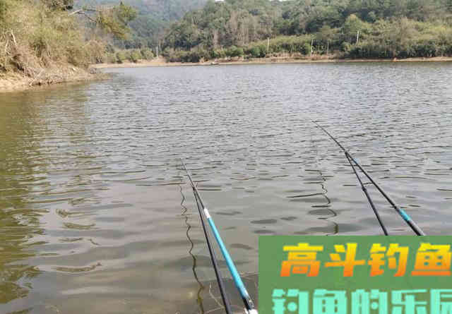 鳊鱼并不傻，要想钓好它得了解5个小技巧