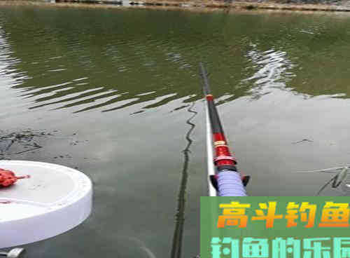 深秋降温还能不能钓到野生鲤鱼?老钓友教你两招,深秋野钓上鲤鱼 深秋降温还能不能钓到野生鲤鱼?老钓友教你两招,深秋野钓上鲤鱼