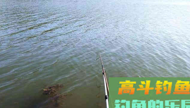 钓远岸鲫鱼，用这种方法，简单高效收获更多