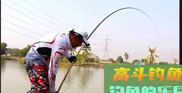 何为逗钓？深度解析逗钓的种类及各自使用方法及特点