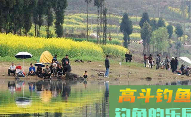 秋钓鲫鱼,从中秋开始,秋末达到顶峰 秋钓鲫鱼,从中秋开始,秋末达到顶峰