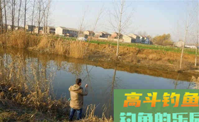 冬天钓鲫鱼,4宜4不宜 冬天钓鲫鱼,4宜4不宜