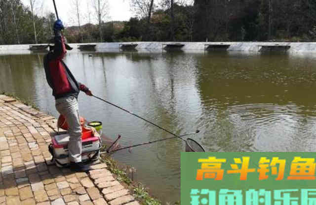 鲤鱼的口味怎么像女朋友的心情,说变就变 鲤鱼的口味怎么像女朋友的心情,说变就变