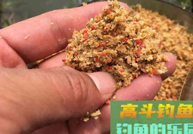 大水面低密度的黑坑如何钓鲤鱼？老钓友给你支2招