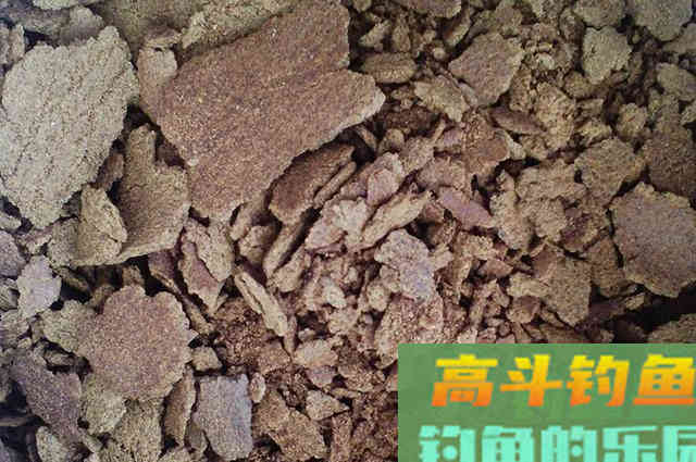 看看这些垂钓罗非心得，对你钓鱼有帮助