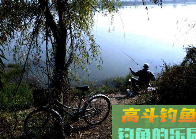 关于传统&ldquo;冬钓鲫&rdquo;的心得体会