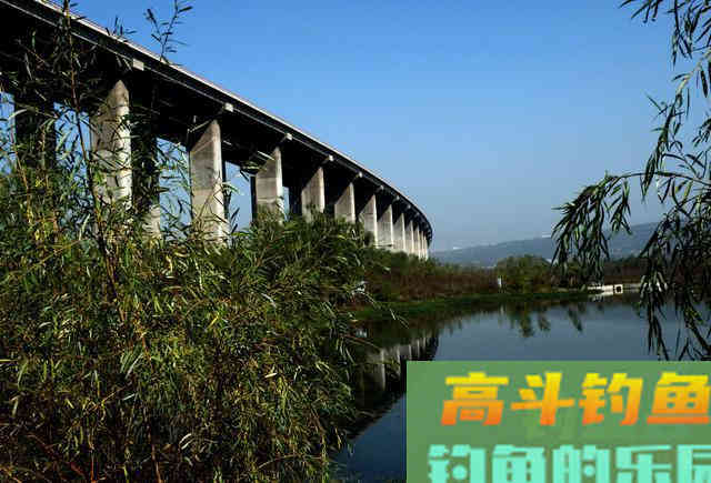 冬季钓鲫鱼你真的行吗？迟来的技巧