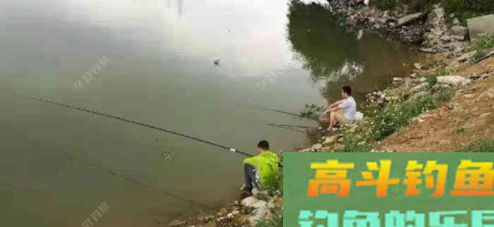 南方罗非鱼，土鲮如何钓？这样钓收获满满的