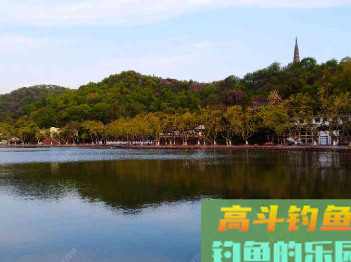 如何在浅水域钓大鲫鱼,学好这3个技巧,爆护不远了 如何在浅水域钓大鲫鱼,学好这3个技巧,爆护不远了