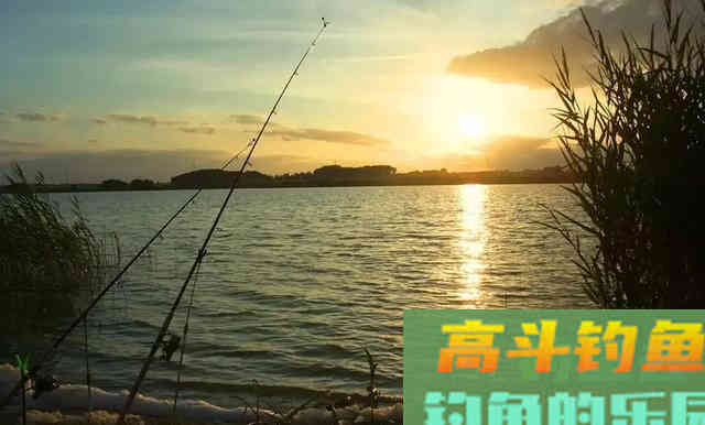 想钓大鲫鱼,现在正是时候 想钓大鲫鱼,现在正是时候